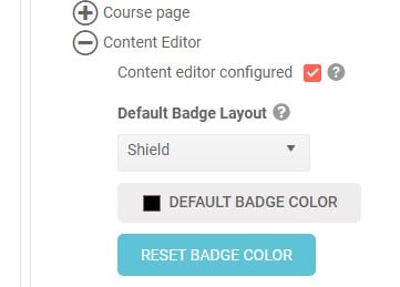 Badge format defaults
